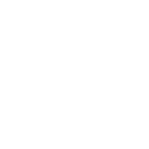 Individualized Education Plans (IEPs)